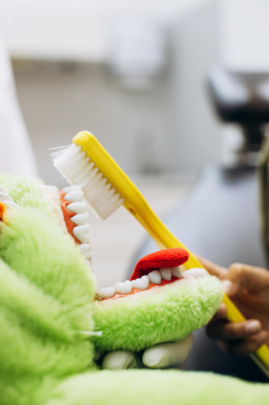 Kit trasformazione Tooth Transformer